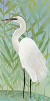 Egret by the Shore II Fine Art Print