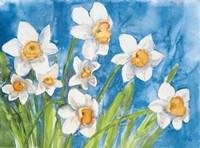 Narcisi Fine Art Print