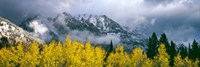 Mount Saint John, Grand Teton National Park, Wyoming Fine Art Print