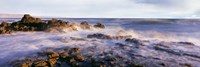 Las Rocas Beach, Baja California, Mexico Fine Art Print