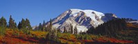 Mt. Rainier and Fall Color, WA Fine Art Print