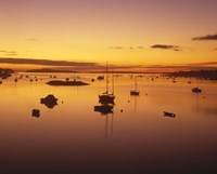Southwest Harbor Before Sunrise, Mt. Desert Island, Maine Fine Art Print