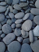 Beach Rocks on Rialto Beach, Olympic National Park, WA Fine Art Print