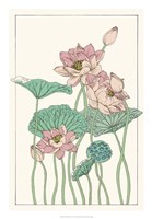 Botanical Gloriosa Lotus I Framed Print