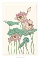 Botanical Gloriosa Lotus I Fine Art Print