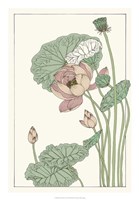 Botanical Gloriosa Lotus II Framed Print