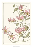 Botanical Gloriosa Lily I Fine Art Print