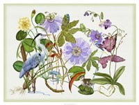 Mesmerize Fine Art Print