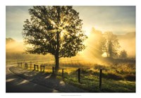 Wake Up Call Fine Art Print