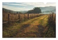 Grassy Lane Fine Art Print