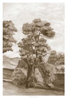 Sepia French Wall Paper II Fine Art Print