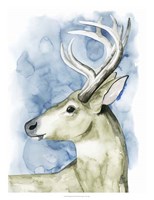 Wandering Stag I Fine Art Print