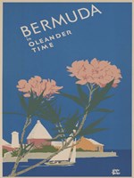 See South America V Fine Art Print