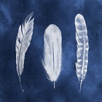 Cyanotype Feathers I Fine Art Print