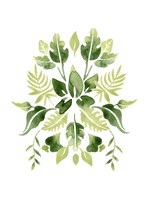 Verdant Vignette II Fine Art Print