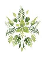 Verdant Vignette III Fine Art Print