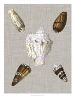 Shells on Linen II Fine Art Print