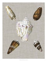 Shells on Linen II Framed Print