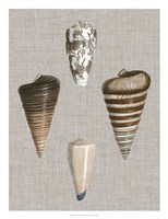 Shells on Linen III Framed Print