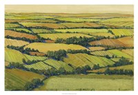 A View Above II Framed Print