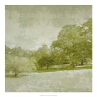 Beryl Landscape  I Framed Print