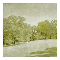 Beryl Landscape  II Framed Print