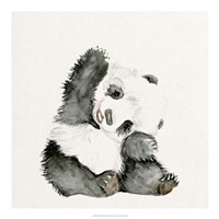 Baby Panda I Fine Art Print