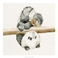 Baby Panda II Fine Art Print