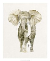 Baby Elephant I Framed Print