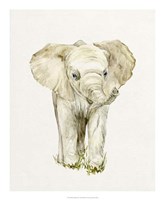 Baby Elephant II Fine Art Print