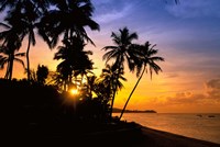Beach sunset, Hideaway resort, Viti Levu, Fiji Fine Art Print