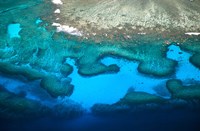 Coral Reefs of Mamanuca Island Group, Fiji Fine Art Print