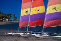 Yachts, Sheraton Royal Denarau Resort, Fiji Fine Art Print