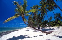 Tambua Sands,Fiji Fine Art Print