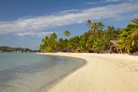 Beach and palm trees,  Malolo Lailai Island, Mamanuca Islands, Fiji Fine Art Print