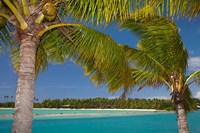 Palm trees and lagoon entrance, Musket Cove Island Resort, Malolo Lailai Island, Mamanuca Islands, Fiji Fine Art Print