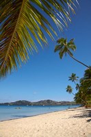 Beach and palm trees, Plantation Island Resort, Malolo Lailai Island, Mamanuca Islands, Fiji Fine Art Print