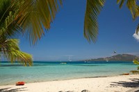 Beach and palm trees, Plantation Island Resort, Malolo Lailai Island, Fiji Fine Art Print