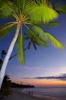 Palm trees and sunset, Plantation Island Resort, Fiji Fine Art Print