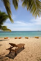 Beach, palm trees and lounger, , Fiji Fine Art Print