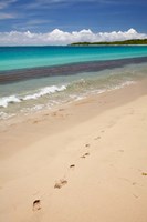 Footprints in sand on Natadola Beach, Coral Coast, Viti Levu, Fiji Fine Art Print