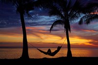 Hammock, Travel, Fiji Fine Art Print