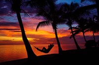 Hammock, Travel, Coral Coast, Viti Levu, Fiji Fine Art Print