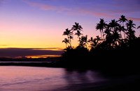 Fiji Islands, Tavarua, Palm trees and sunset Fine Art Print