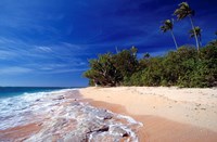 Fiji Islands, Tavarua, Beach Fine Art Print