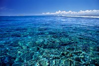 Fiji Islands, Tavarua, coral reef Fine Art Print