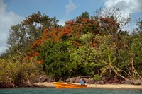 Christmas Tree and Orange Skiff, Turtle Island, Yasawa Islands, Fiji Fine Art Print