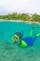 Snorkeling, Picnic island, Viti Levu Fiji Fine Art Print