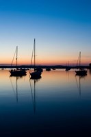 Sailboat, Connecticut River Fine Art Print