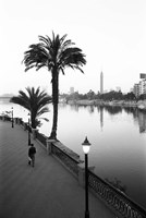 View of the Nile River, Cairo, Egypt Fine Art Print